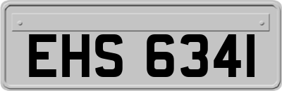 EHS6341