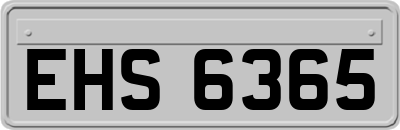 EHS6365