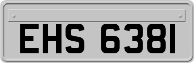 EHS6381