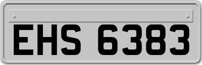 EHS6383