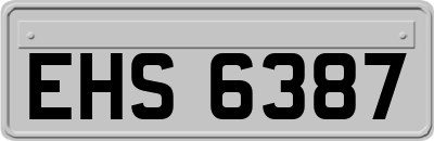 EHS6387