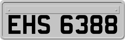 EHS6388