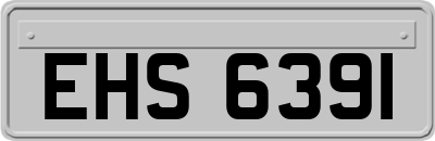 EHS6391