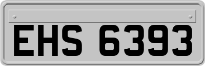 EHS6393