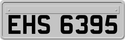EHS6395