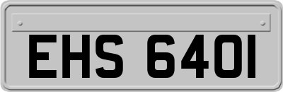 EHS6401