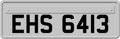 EHS6413