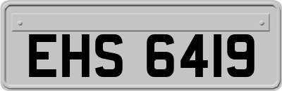 EHS6419