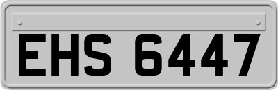 EHS6447