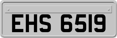 EHS6519