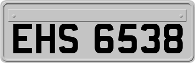 EHS6538