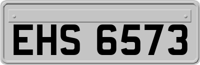 EHS6573