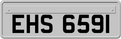 EHS6591