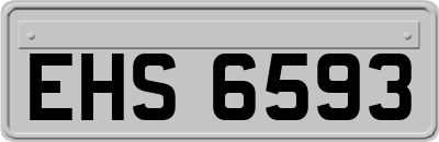 EHS6593
