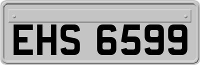 EHS6599