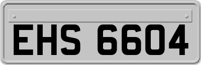 EHS6604