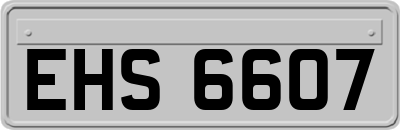 EHS6607