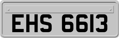 EHS6613