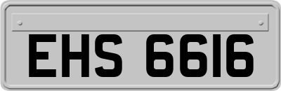 EHS6616