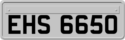 EHS6650