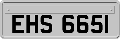 EHS6651