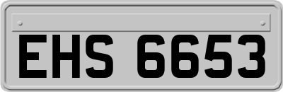 EHS6653