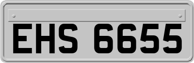 EHS6655