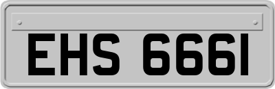EHS6661