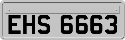 EHS6663