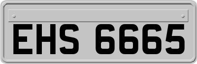 EHS6665