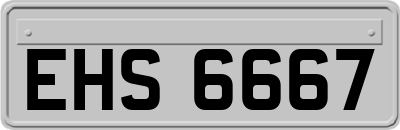 EHS6667