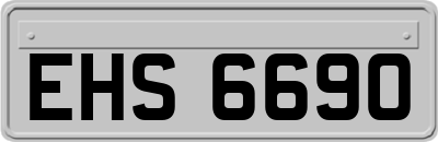 EHS6690