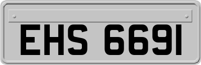 EHS6691