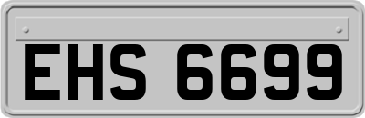 EHS6699