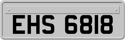 EHS6818