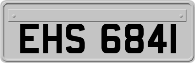 EHS6841