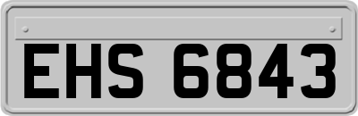 EHS6843
