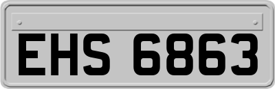 EHS6863
