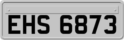 EHS6873