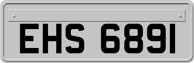 EHS6891