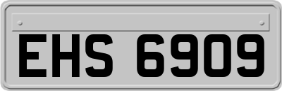 EHS6909