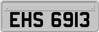 EHS6913