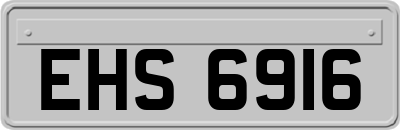 EHS6916