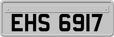 EHS6917