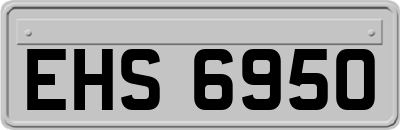 EHS6950