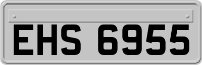 EHS6955