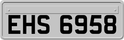 EHS6958