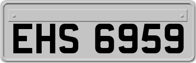 EHS6959
