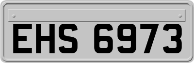EHS6973