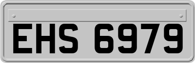 EHS6979
